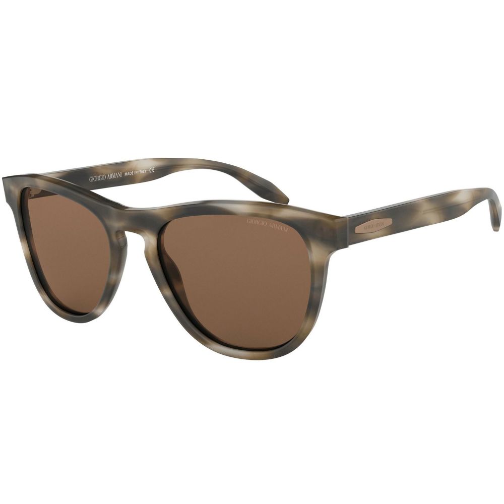 Giorgio Armani Sunglasses AR 8116 5710/73
