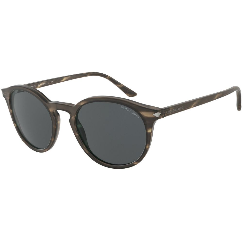Giorgio Armani Sunglasses AR 8122 5772/87