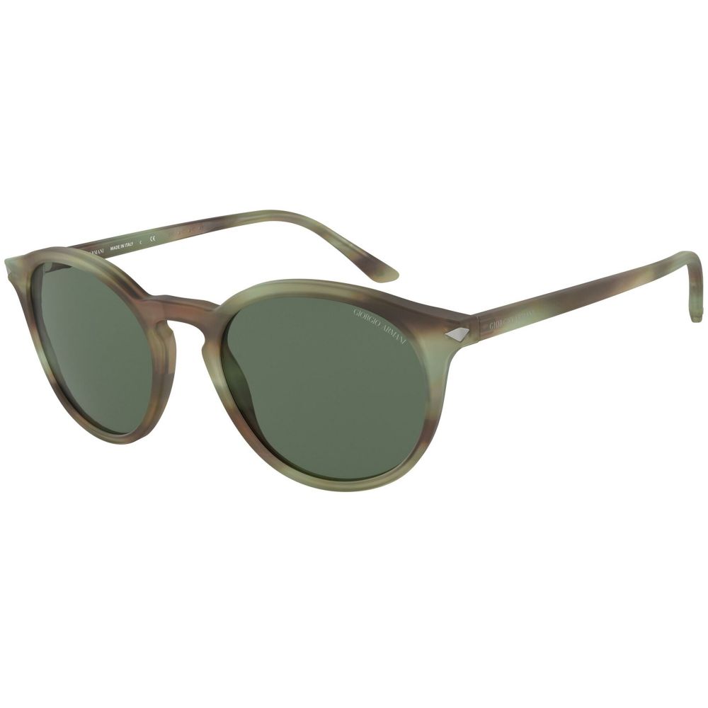 Giorgio Armani Sunglasses AR 8122 5773/71
