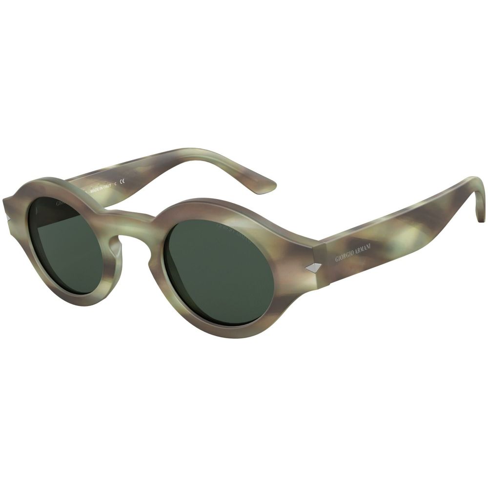 Giorgio Armani Sunglasses AR 8126 5773/71
