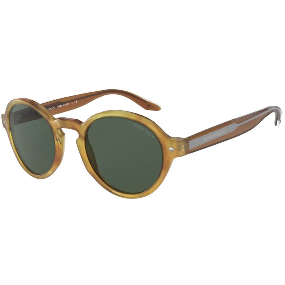Giorgio Armani Sunglasses AR 8130 5761/71