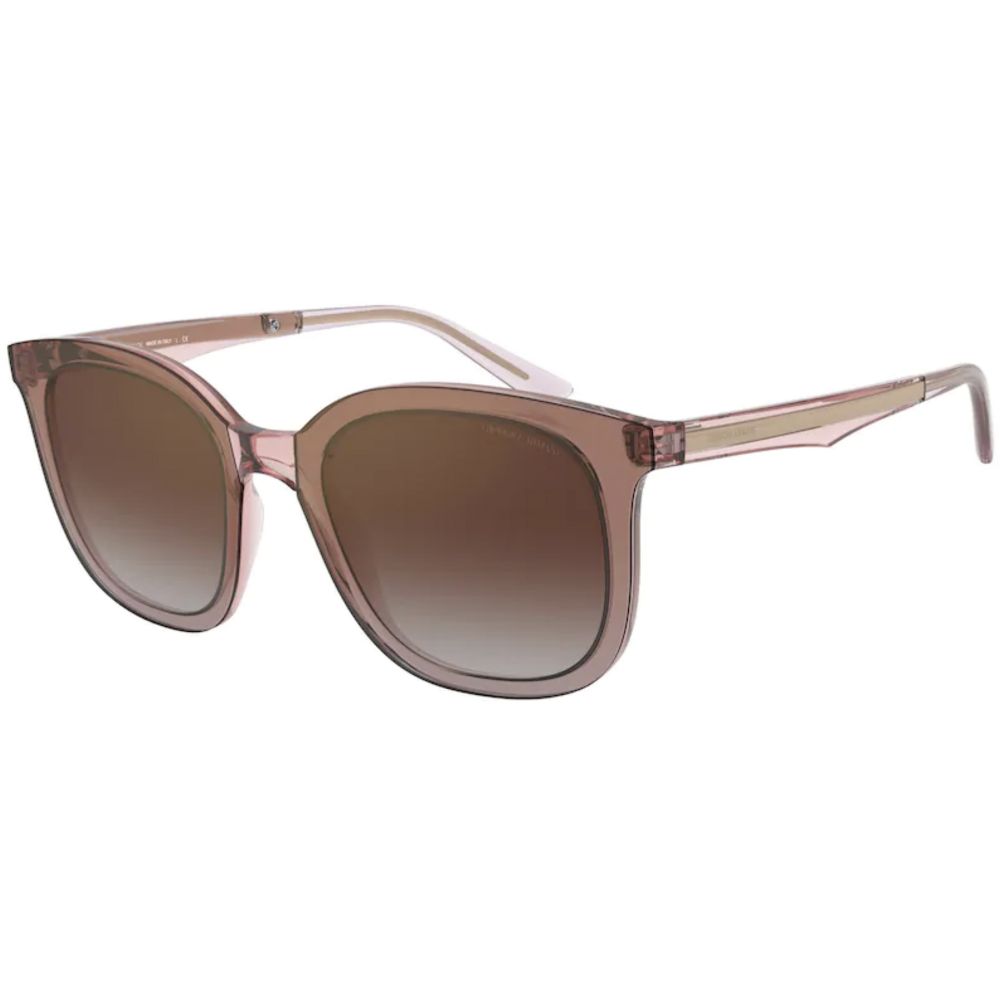 Giorgio Armani Sunglasses AR 8136 5821/6F