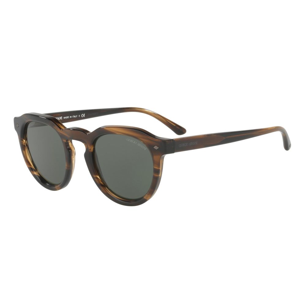 Giorgio Armani Sunglasses FRAMES OF LIFE AR 8093 5594/31