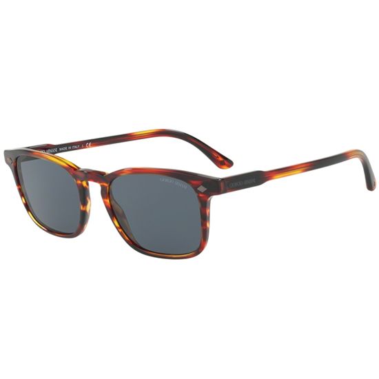 Giorgio Armani Sunglasses FRAMES OF LIFE AR 8103 5580/R5