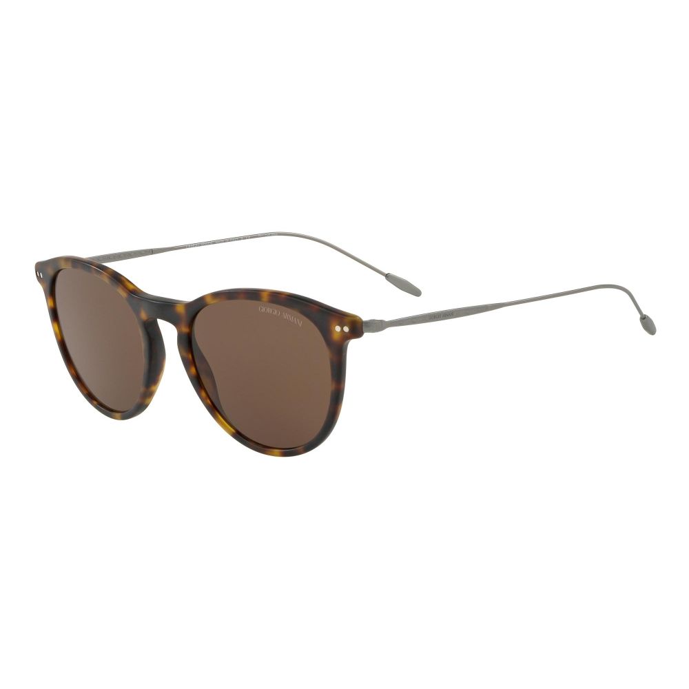 Giorgio Armani Sunglasses FRAMES OF LIFE AR 8108 5089/73