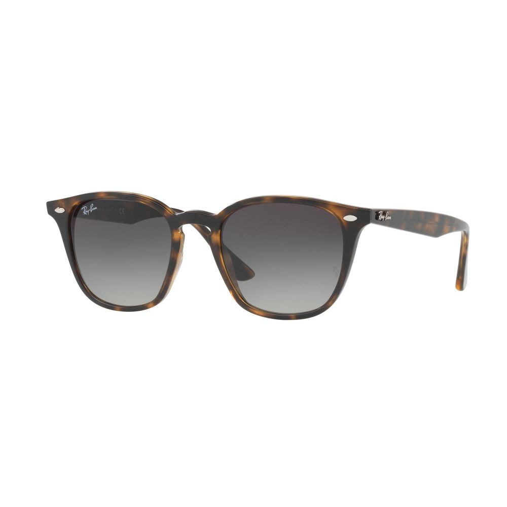 Ray-Ban Sunglasses RB 4258 710/11