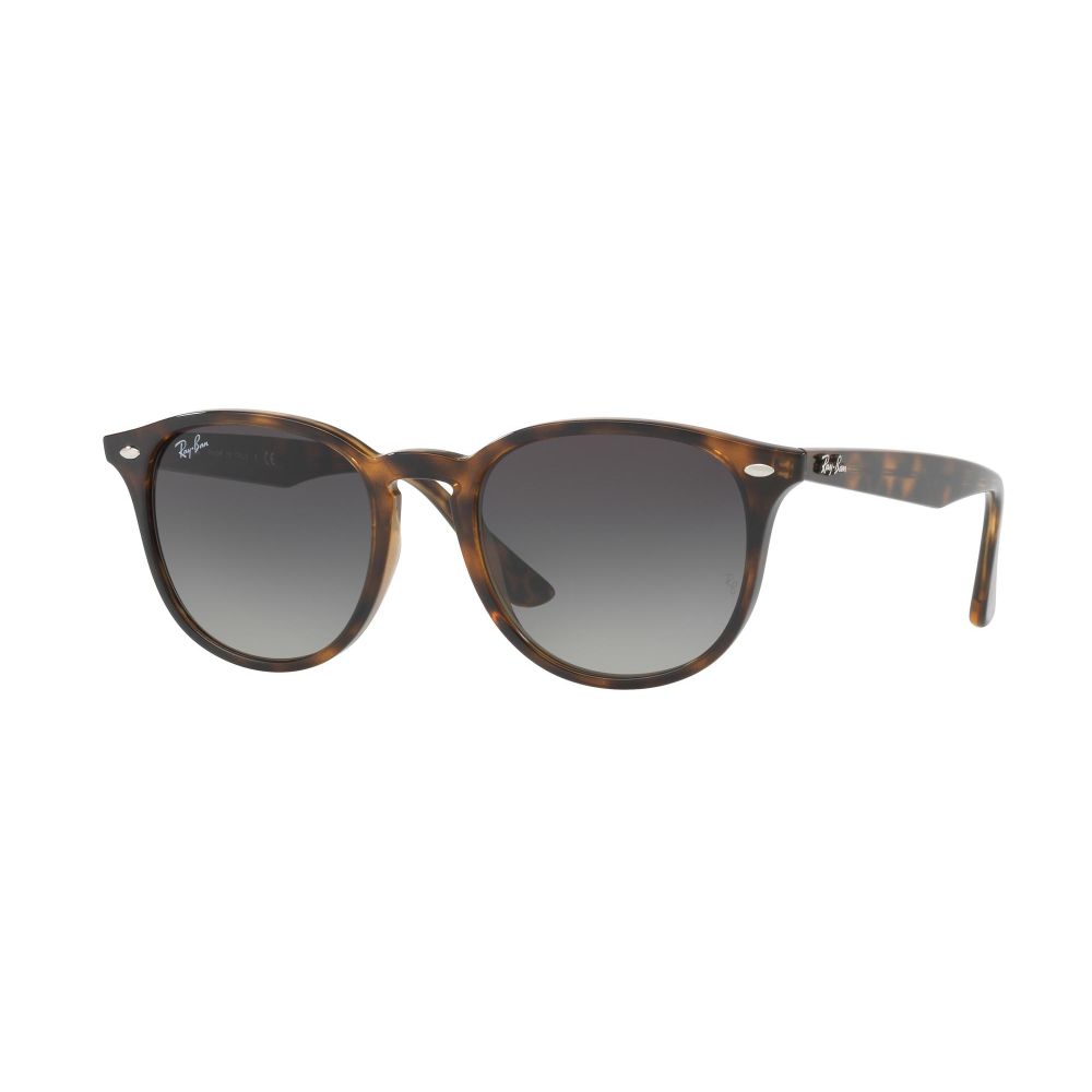 Ray-Ban Sunglasses RB 4259 710/11