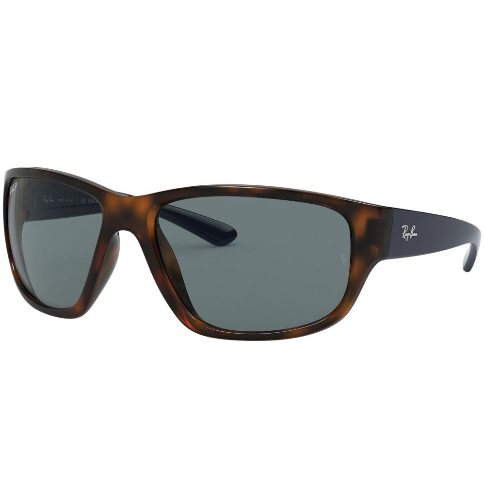 Ray-Ban Sunglasses RB 4300 6433/S2