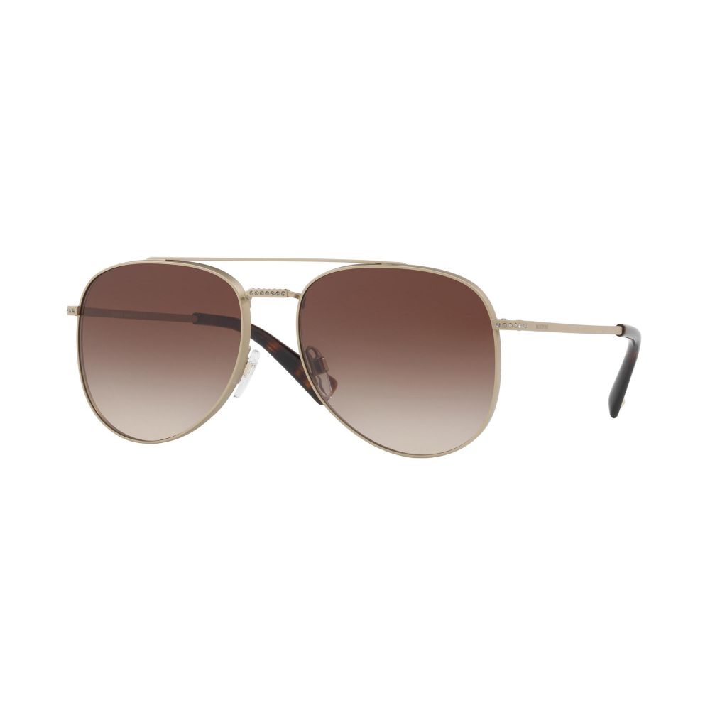 Valentino Sunglasses VA 2007B 3016/13