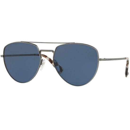 Valentino Sunglasses VA 2023 3017/80