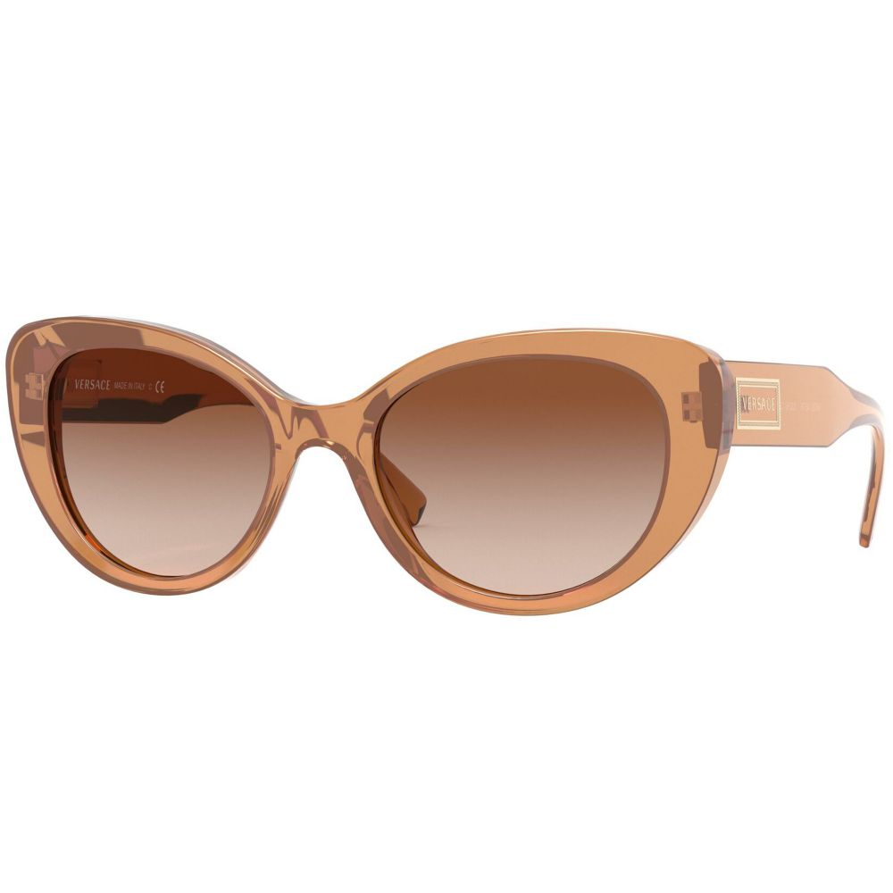Versace Sunglasses 90S VINTAGE LOGO VE 4378 5326/13