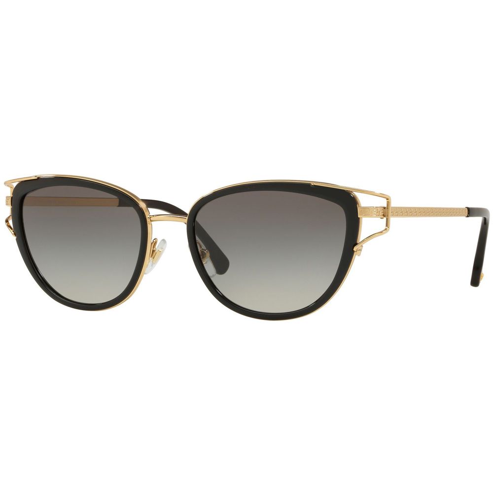 Versace Sunglasses VE 2203 1438/11