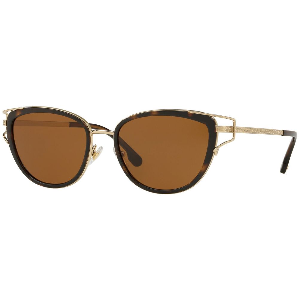 Versace Sunglasses VE 2203 1440/73