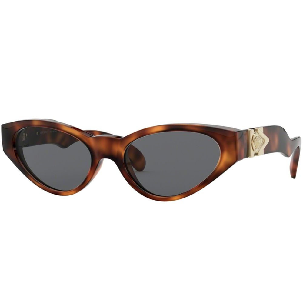 Versace Sunglasses VE 4373 5217/87