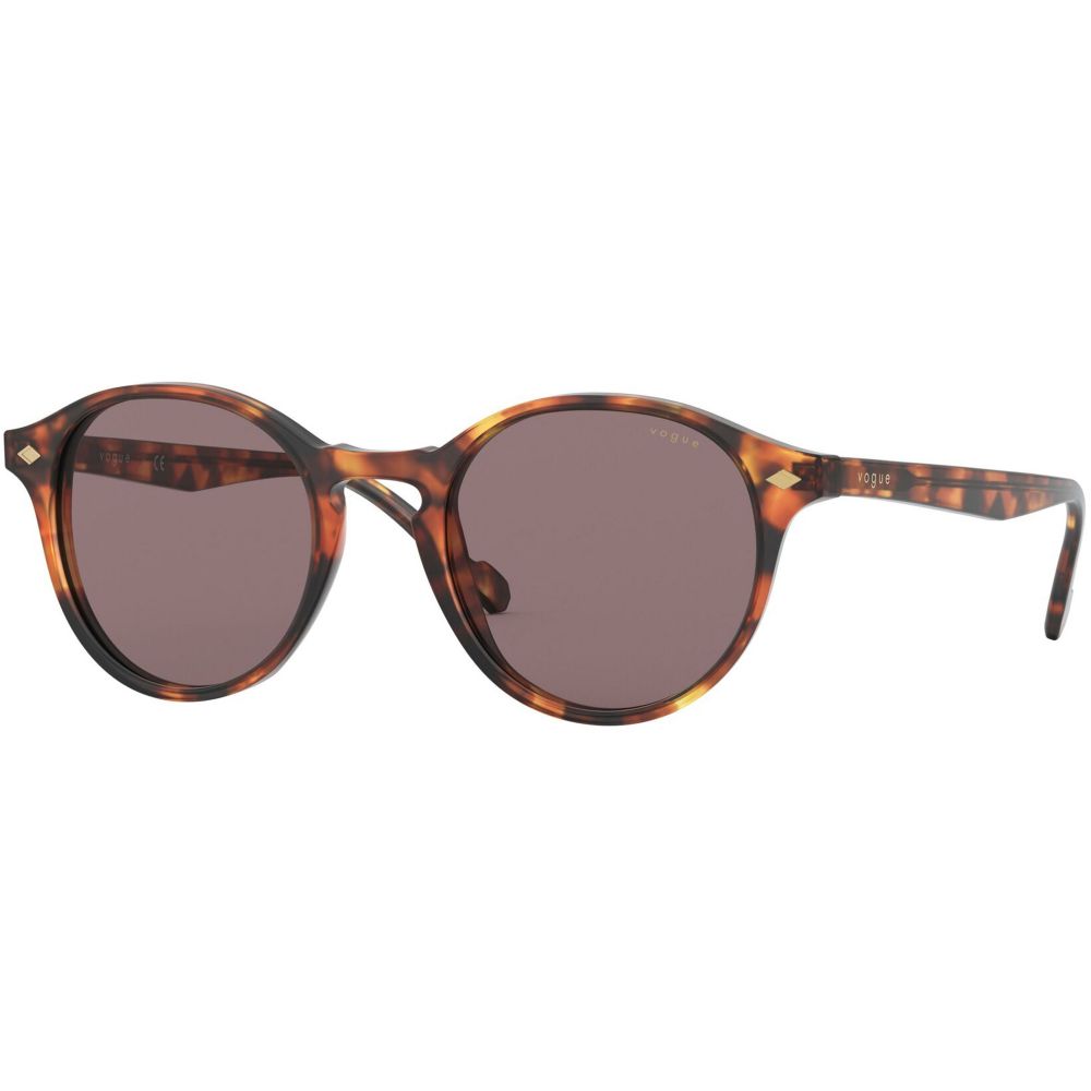 Vogue Sunglasses VO 5327S 2819/7N