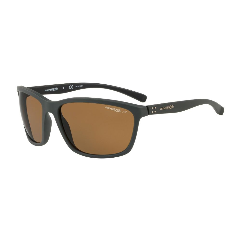 Arnette Gafas de sol HANG UP AN 4249 2550/83