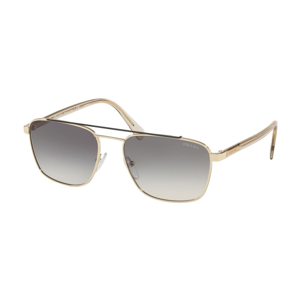 Prada Gafas de sol PRADA SPECIAL PROJECT EVOLUTION PR 61US WCV-130