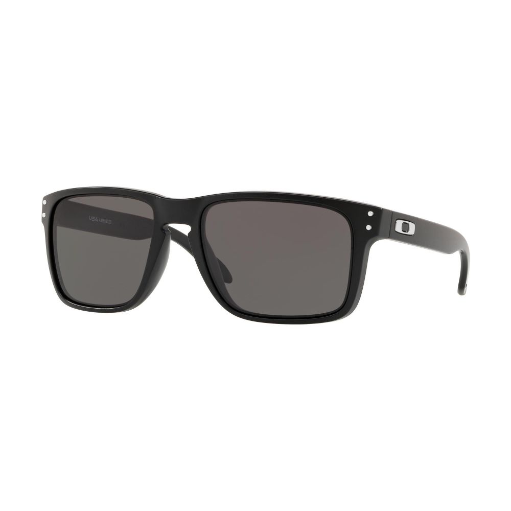 Oakley Sunčane naočale HOLBROOK XL OO 9417 9417-01
