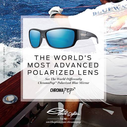 Smith Optics Наочаре за сунце