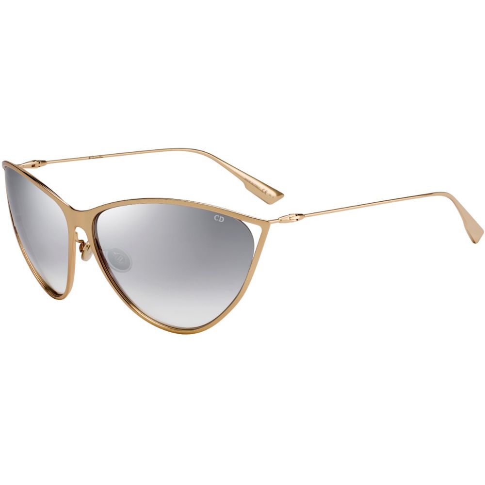 Dior Saulesbrilles DIOR NEW MOTARD 000/IC
