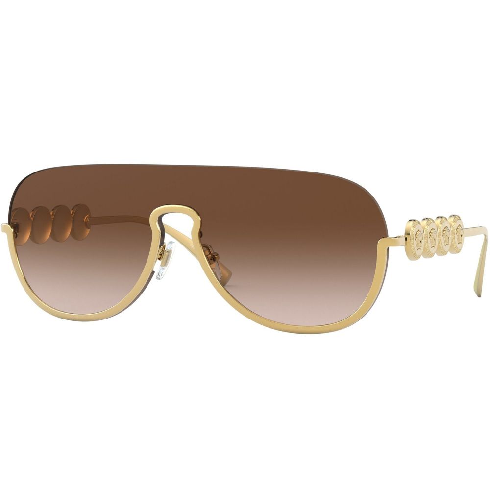 Versace Zonnebrillen SIGNATURE MEDUSA VE 2215 1002/13