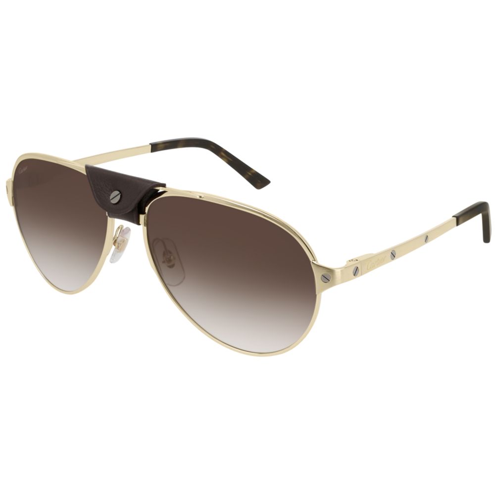 Cartier Сонцезахисні окуляри CT0034S 012